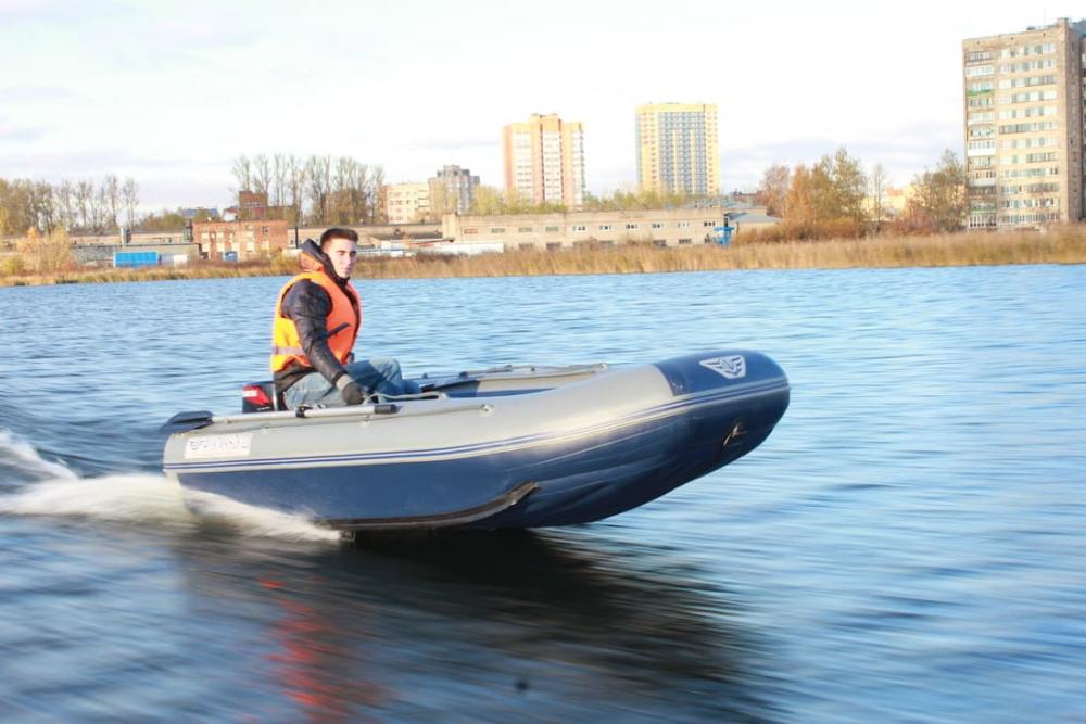 Надувная ПВХ лодка ФЛАГМАН DK 320